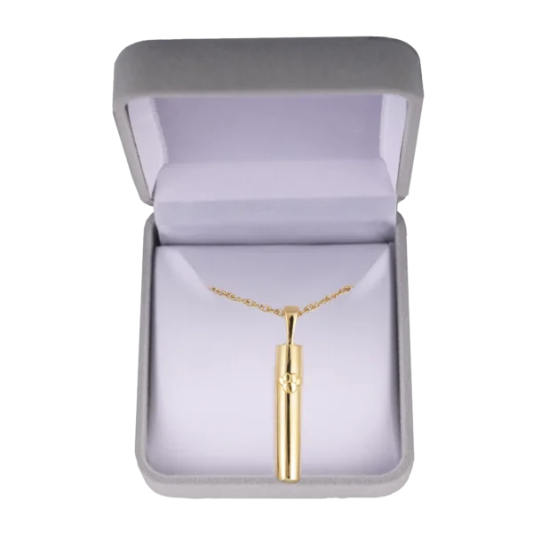 Cylinder Paw [Gold]