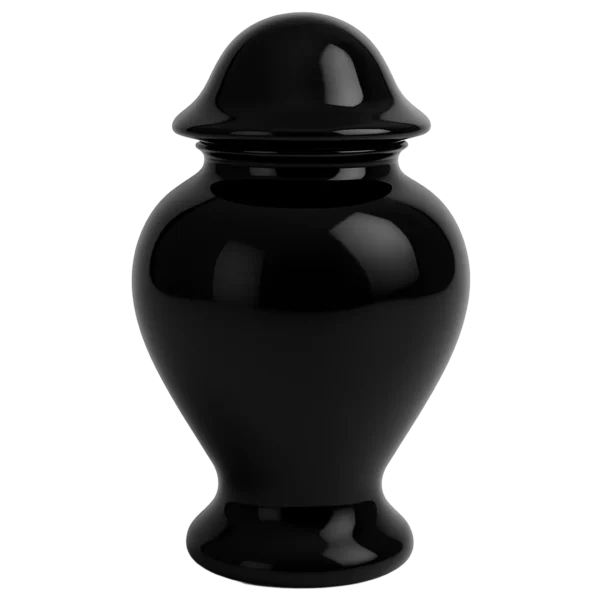 Jar Ceramic Urn [Black]