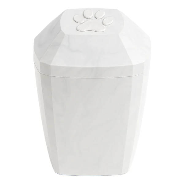 Temporary Urn